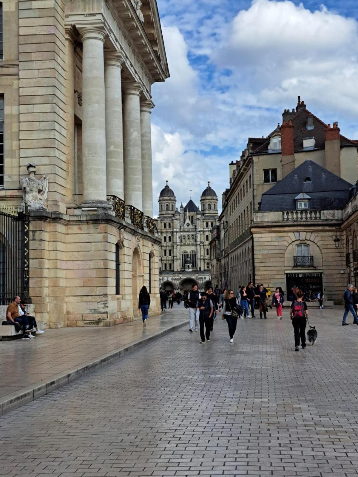 Le P'tit Jacques - C La Chouette Apartment Dijon